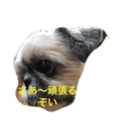 ミルクの気持ち（個別スタンプ：5）