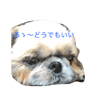 ミルクの気持ち（個別スタンプ：6）