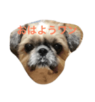 ミルクの気持ち（個別スタンプ：8）