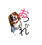 可愛すぎるキャバ嬢♡（個別スタンプ：2）