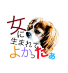 可愛すぎるキャバ嬢♡（個別スタンプ：3）