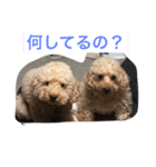 ハッピー ララ（個別スタンプ：2）