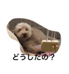 ハッピー ララ（個別スタンプ：3）