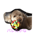 ハッピー ララ（個別スタンプ：4）