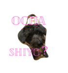すずです。よろしくお願いします（個別スタンプ：22）