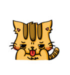 Ginger Cat M（個別スタンプ：3）