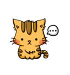 Ginger Cat M（個別スタンプ：6）