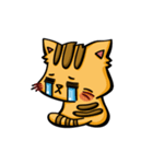 Ginger Cat M（個別スタンプ：14）