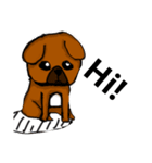 The Lovely Puppies（個別スタンプ：1）