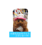 チームワンズ（個別スタンプ：8）