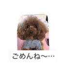 チームワンズ（個別スタンプ：14）