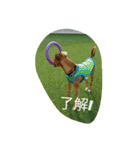 zasyukennokenta（個別スタンプ：14）