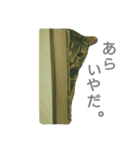 ここチャンの日常（個別スタンプ：7）