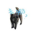HeyBao's boring life（個別スタンプ：3）