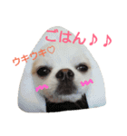 ラッキースタンプ♪（個別スタンプ：2）