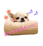 ラッキースタンプ♪（個別スタンプ：4）