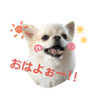 ラッキースタンプ♪（個別スタンプ：5）