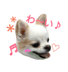ラッキースタンプ♪（個別スタンプ：7）