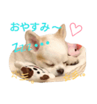 ラッキースタンプ♪（個別スタンプ：10）