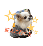 ラッキースタンプ♪（個別スタンプ：11）