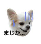 ラッキースタンプ♪（個別スタンプ：14）