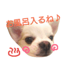 ラッキースタンプ♪（個別スタンプ：15）