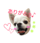 ラッキースタンプ♪（個別スタンプ：19）