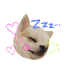 ラッキースタンプ♪（個別スタンプ：21）