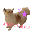 ラッキースタンプ♪（個別スタンプ：22）