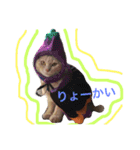 ムギチョコ姉妹 Part1（個別スタンプ：5）