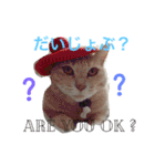 ムギチョコ姉妹 Part1（個別スタンプ：11）