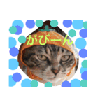 ムギチョコ姉妹 Part1（個別スタンプ：20）