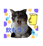 ムギチョコ姉妹 Part1（個別スタンプ：32）