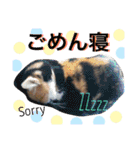 ムギチョコ姉妹 Part1（個別スタンプ：40）