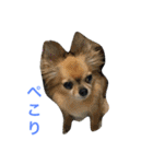 Friends of Max（個別スタンプ：1）