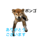 Friends of Max（個別スタンプ：3）