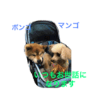 Friends of Max（個別スタンプ：8）