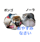 Friends of Max（個別スタンプ：9）
