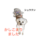 Friends of Max（個別スタンプ：10）