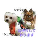 Friends of Max（個別スタンプ：11）