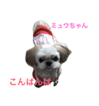 Friends of Max（個別スタンプ：13）