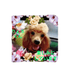 Friends of Max（個別スタンプ：14）