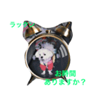 Friends of Max（個別スタンプ：15）