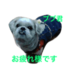 Friends of Max（個別スタンプ：16）
