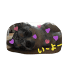 わんぱく！ぷちたろー2弾（個別スタンプ：14）