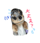 わんぱく！ぷちたろー2弾（個別スタンプ：16）