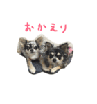 アイルオンのスタンプ②（個別スタンプ：10）