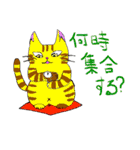 色々猫（個別スタンプ：11）