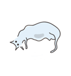 Ensoul-Cat (Transparent)（個別スタンプ：7）
