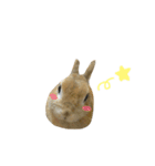 うさぎのラン（個別スタンプ：18）